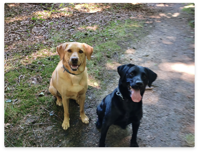 Jet and Ben