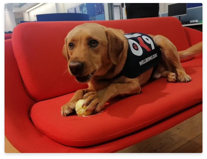 Ben on a couch