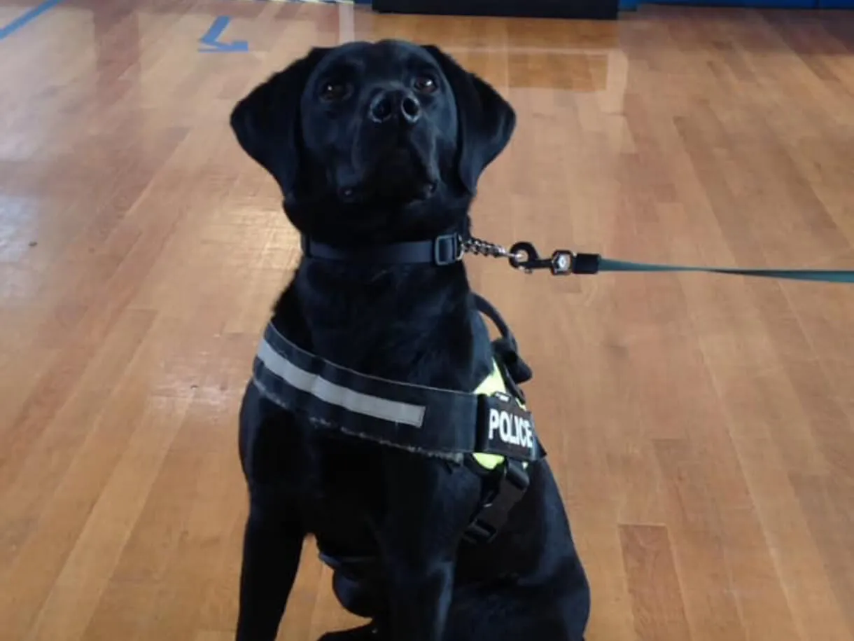 Jet at a school